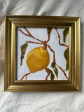 Lemon Study