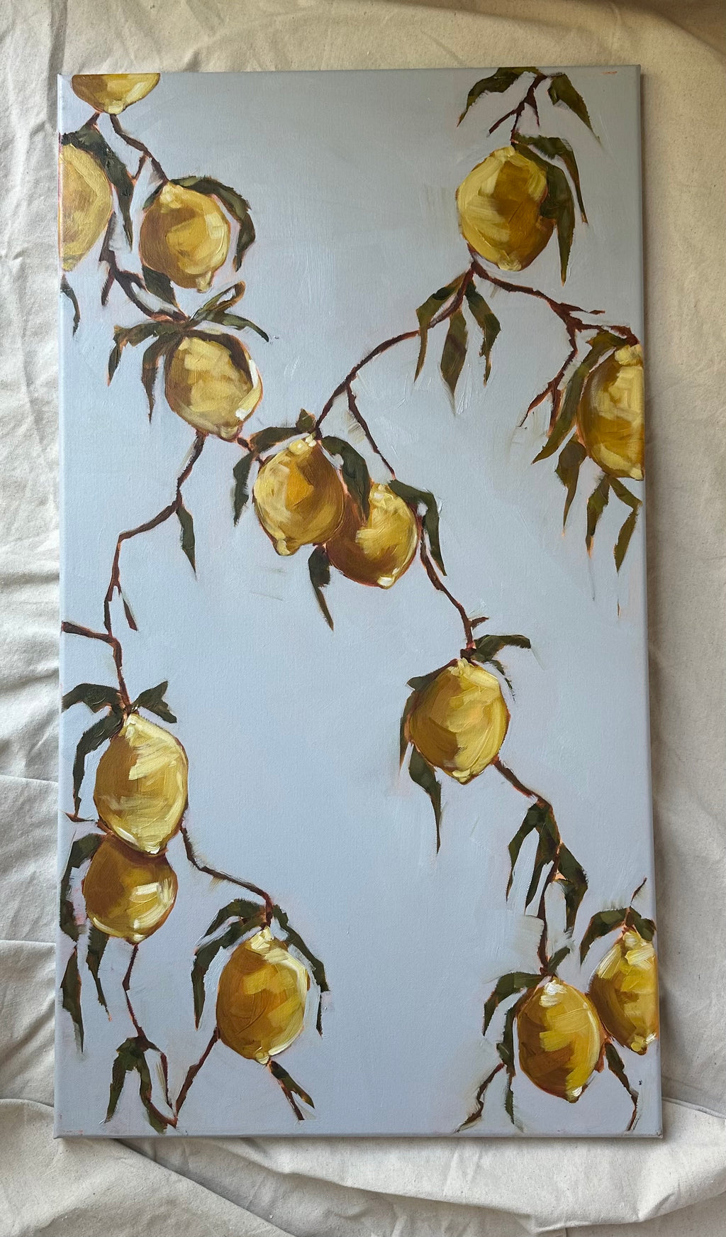 Sunlit Lemon Groves II